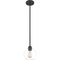 Quoizel Pruitt Mini Pendant PRUC1507MBK - alternate 4
